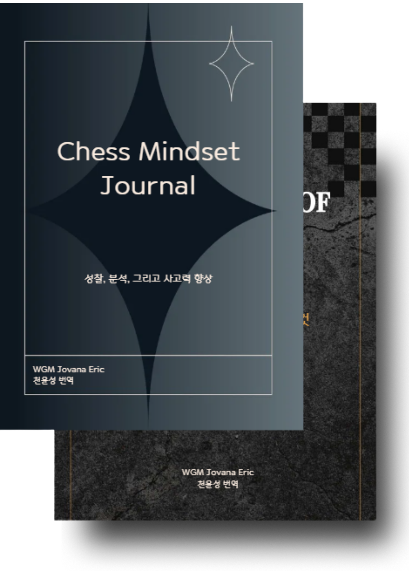 The Anatomy of Chess + Chess Mindset Journal · cover